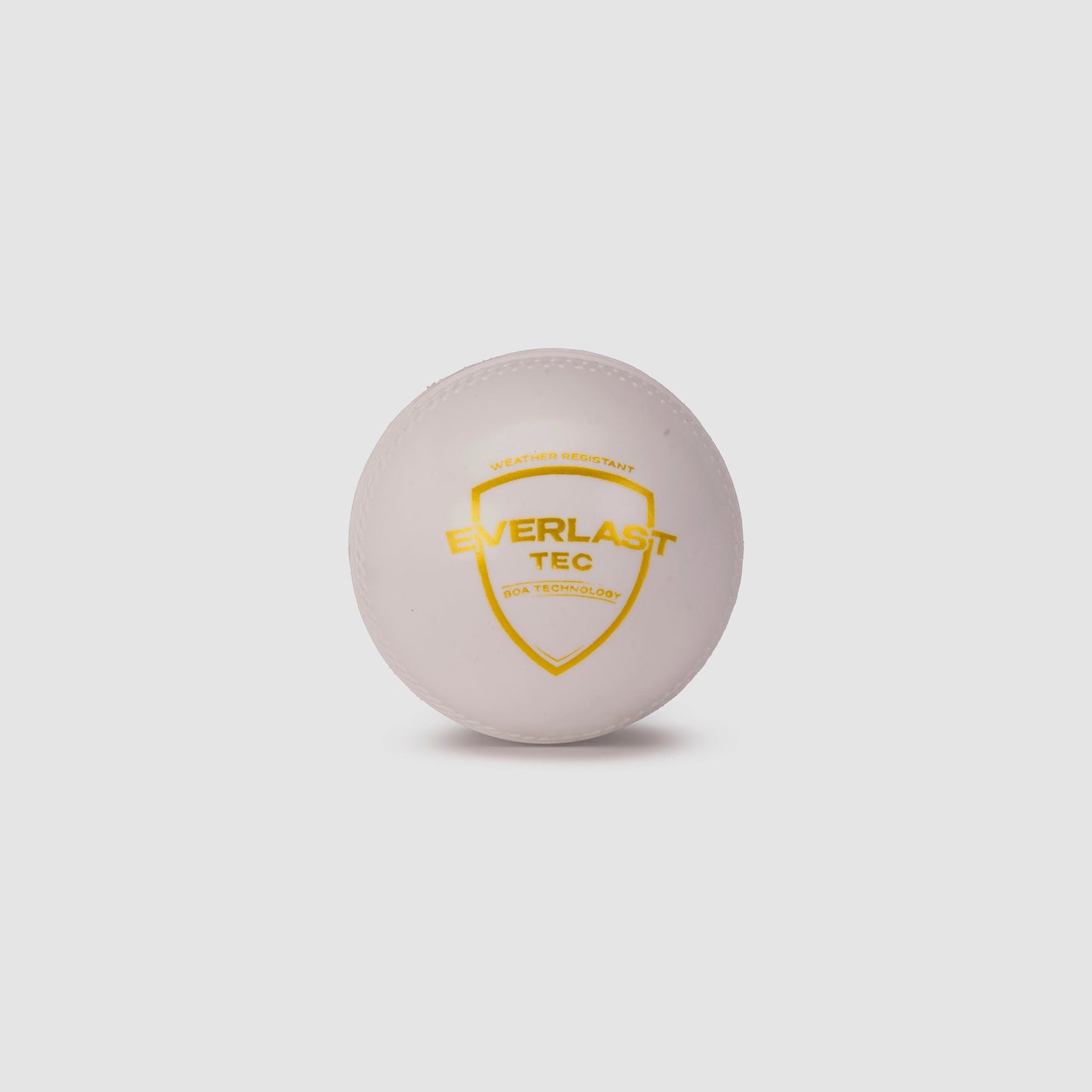 SG Everlast Tec Cricket Ball White