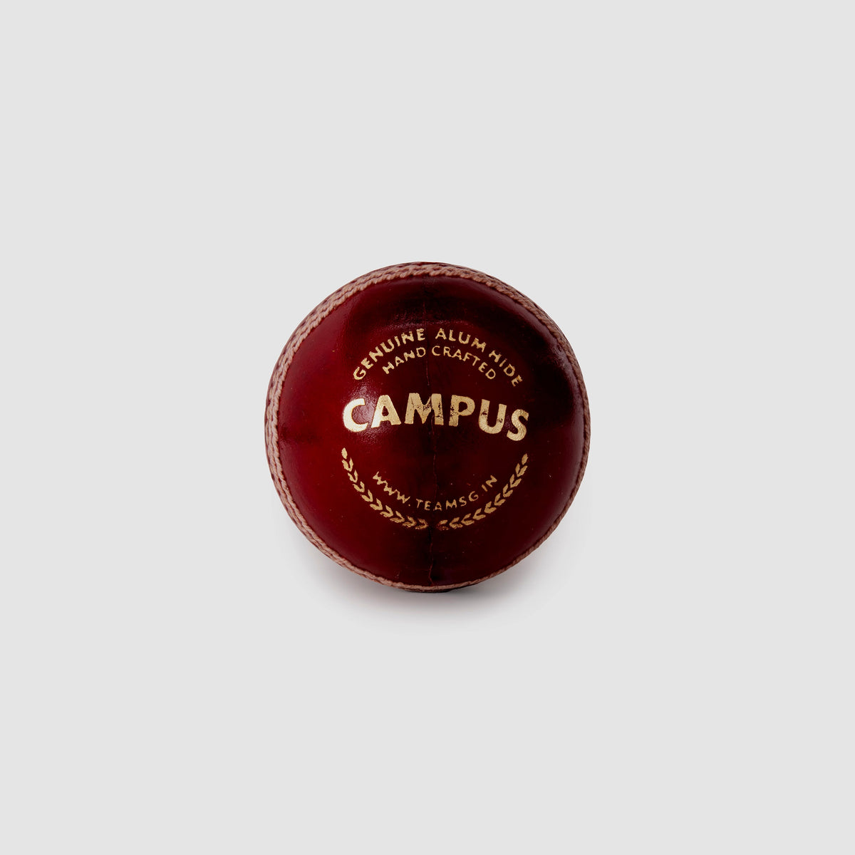 SG Campus Cricket Ball
