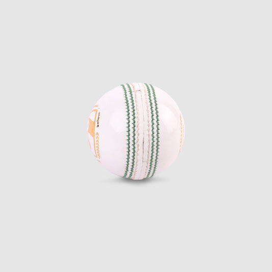 SG Tournament White Cricket Ball