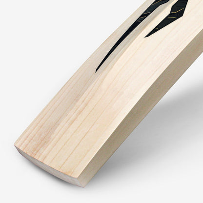DSC Rachin Ravindra Cricket Bat