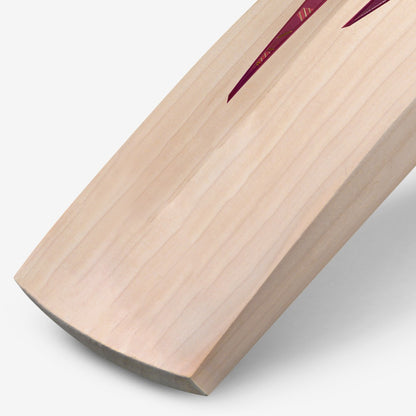 DSC Condor Flite English Willow Cricket Bat