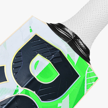 DSC Alex Hales Cricket Bat