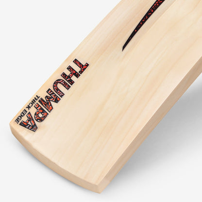 DSC Thumpa 1000 English Willow Cricket Bat