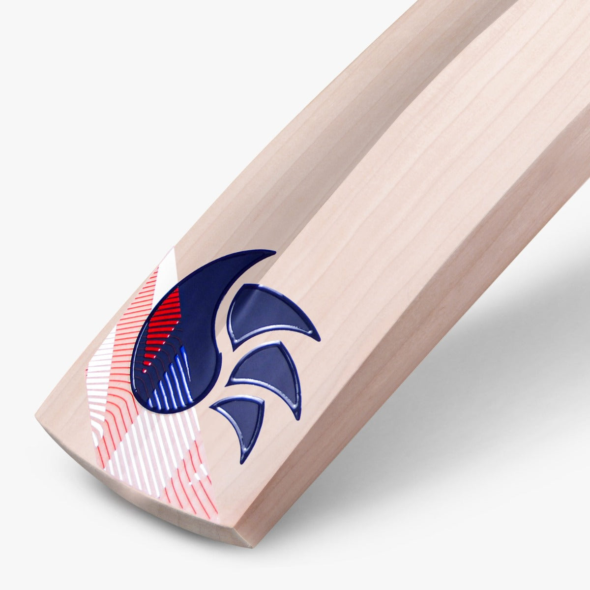 DSC LeedZ English Willow Cricket Bat Made in England