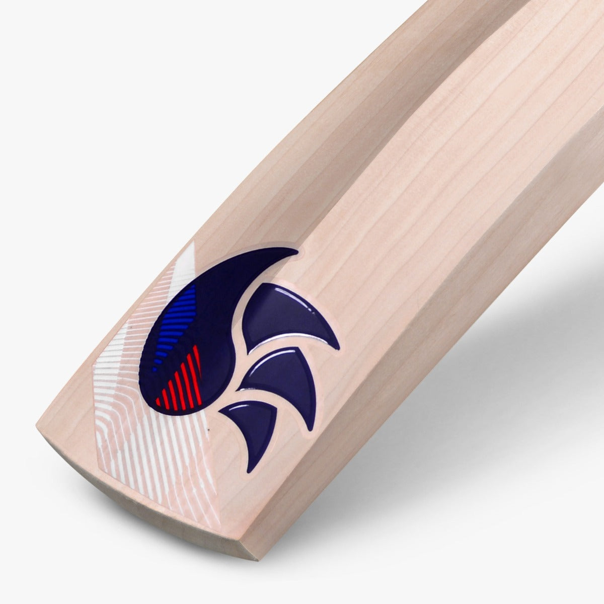DSC OvalZ English Willow Cricket Bat Made in England